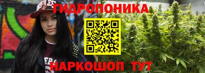 a pvp Волжский