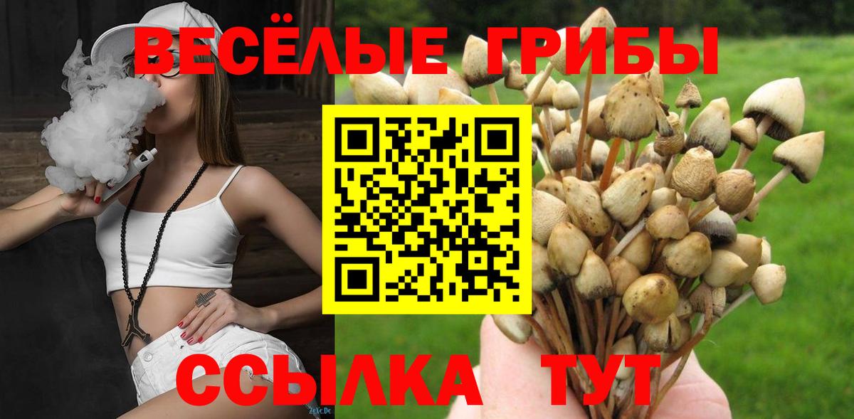 Галлюциногенные грибы мухоморы Нальчик