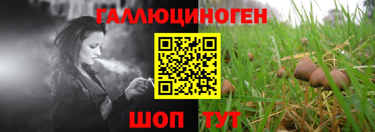 Галлюциногенные грибы мицелий  Вход с VPN  Нальчик  Галлюциногенные грибы Magic Shrooms 